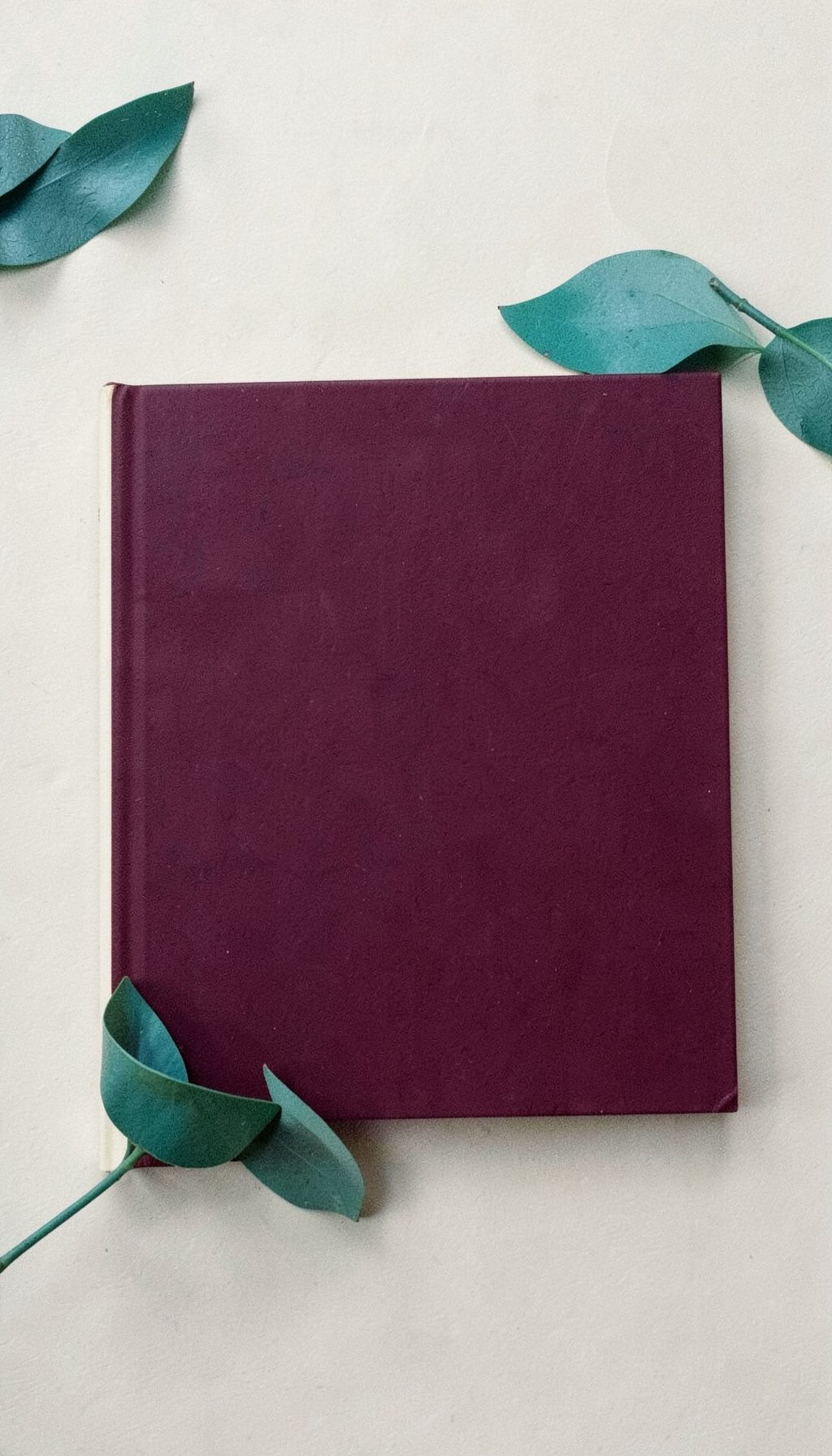 A book cover with deep burgundy and cream tones, conveying a personal memoir aesthetic