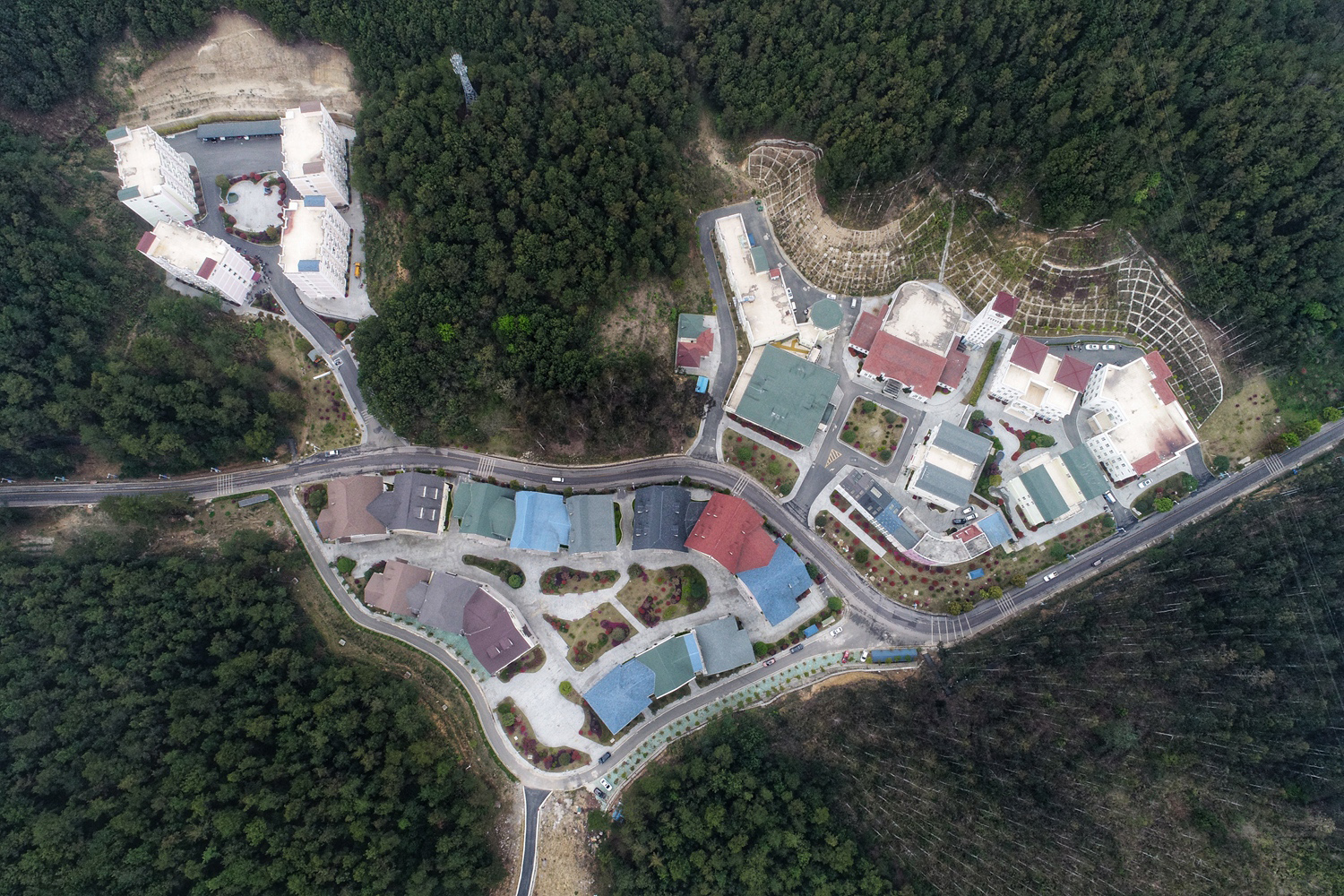 Aerial view of a cluster of buildings with colorful roofs surrounded by dense forest on a hillside